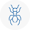 Ant Removals In Exmouth