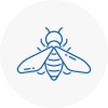 Bee Nest Removal Exmouth