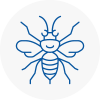 Exmouth Hornet Nest Removals