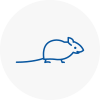 Mice Exterminators In Exmouth