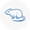 Rat Control Exmouth
