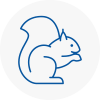 Exmouth Rodent Removals